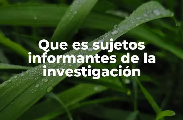 Que es Sujetos Informantes de la Investigación