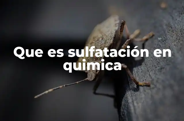 Que es Sulfatación en Quimica