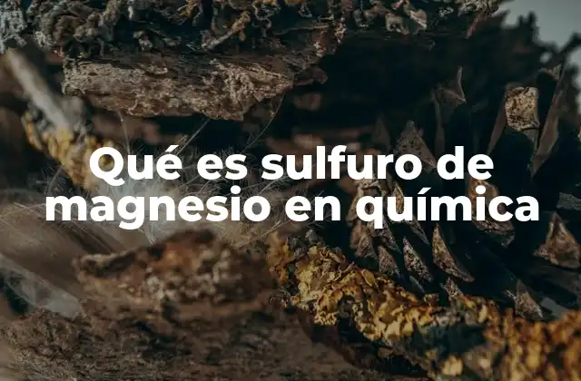 Qué es Sulfuro de Magnesio en Química