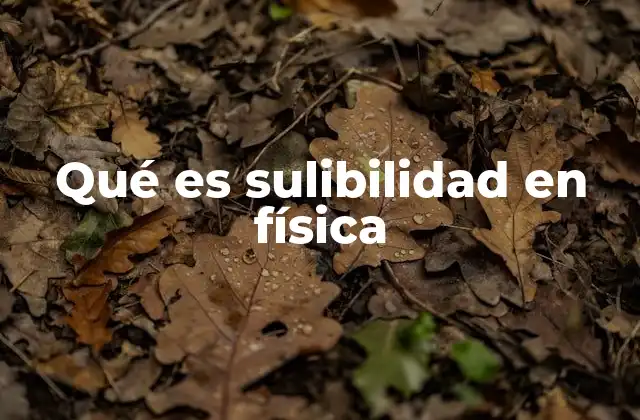 Qué es Sulibilidad en Física
