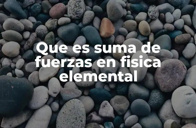 Que es Suma de Fuerzas en Fisica Elemental