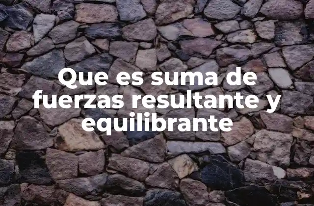 Que es Suma de Fuerzas Resultante y Equilibrante