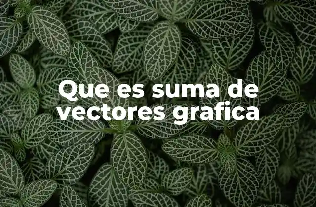 Que es Suma de Vectores Grafica