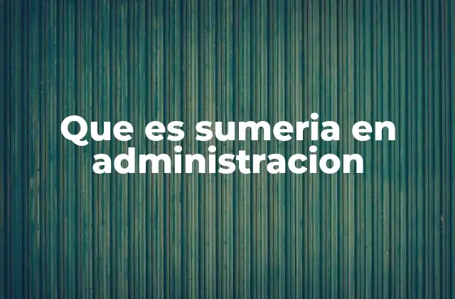 Que es Sumeria en Administracion