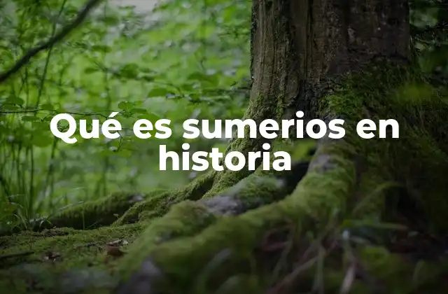 Qué es Sumerios en Historia