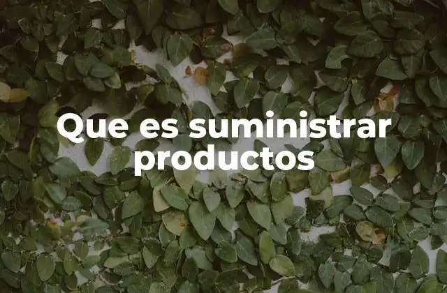 Que es Suministrar Productos 2 El proceso detrás de la entrega de bienes