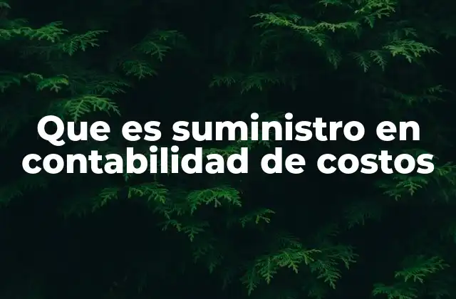 Que es Suministro en Contabilidad de Costos