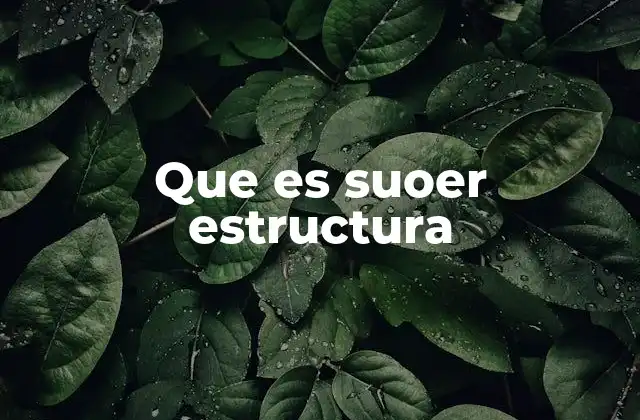 Que es Suoer Estructura