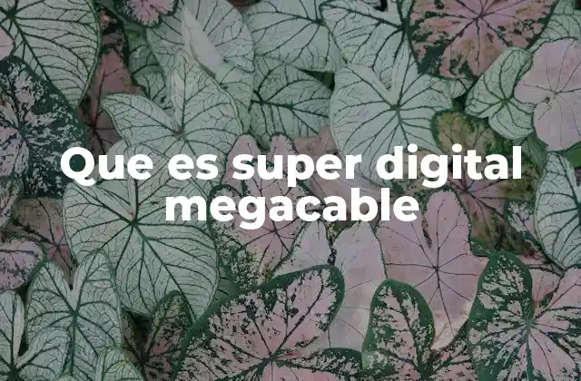 Que es Super Digital Megacable