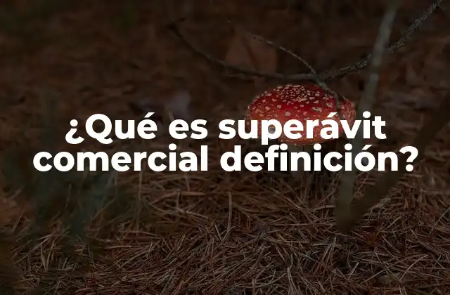 ¿qué es Superávit Comercial Definición?