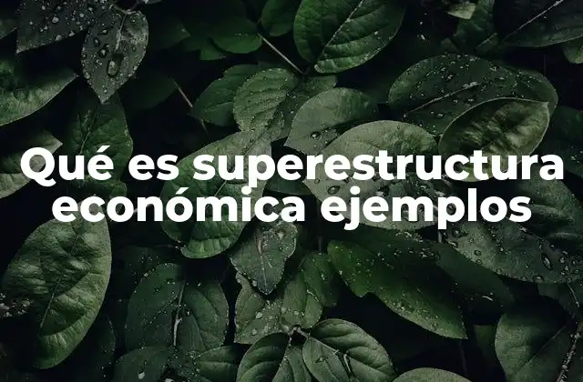 Qué es Superestructura Económica Ejemplos