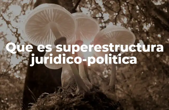 Que es Superestructura Juridico-politica