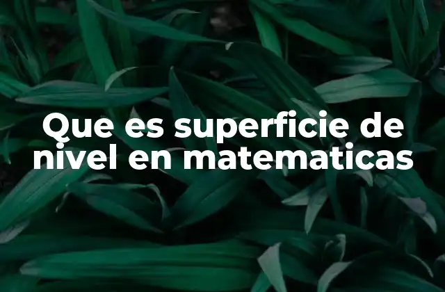 Que es Superficie de Nivel en Matematicas
