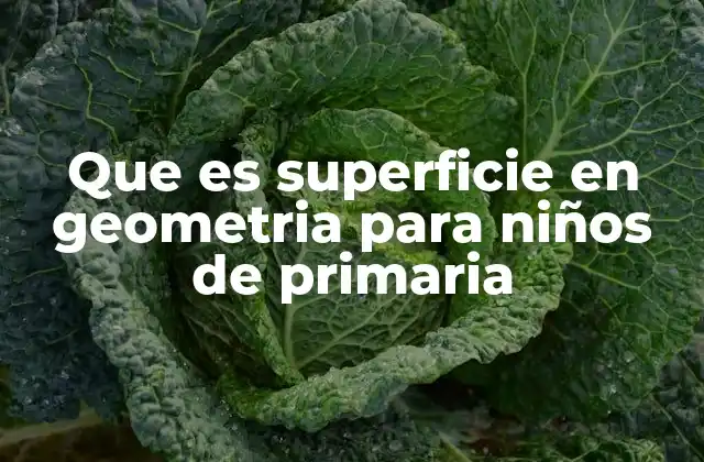 Que es Superficie en Geometria para Niños de Primaria