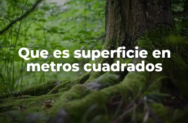 Que es Superficie en Metros Cuadrados
