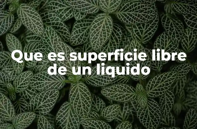 Que es Superficie Libre de un Liquido