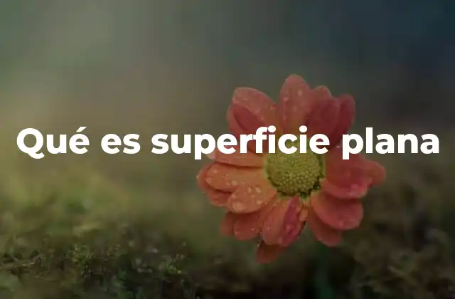 Qué es Superficie Plana
