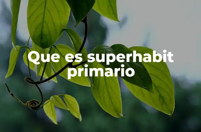 Que es Superhabit Primario