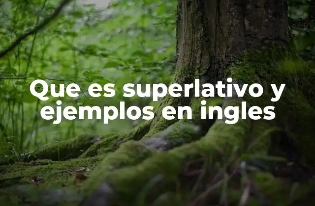 Que es Superlativo y Ejemplos en Ingles