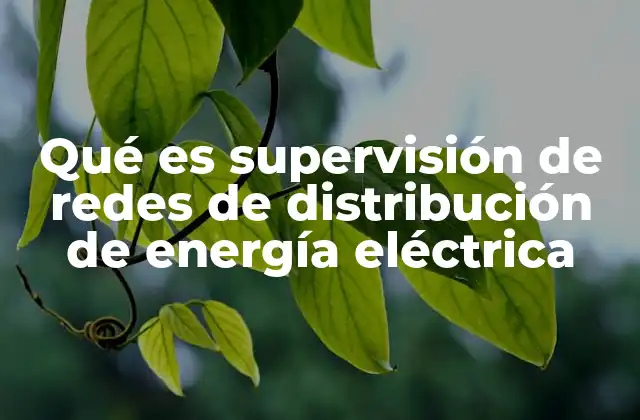 Qué es Supervisión de Redes de Distribución de Energía Eléctrica