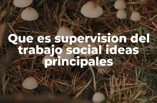 Que es Supervision Del Trabajo Social Ideas Principales