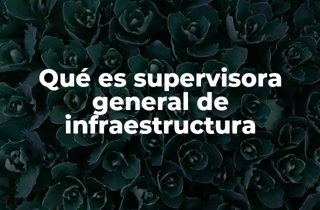 Qué es Supervisora General de Infraestructura
