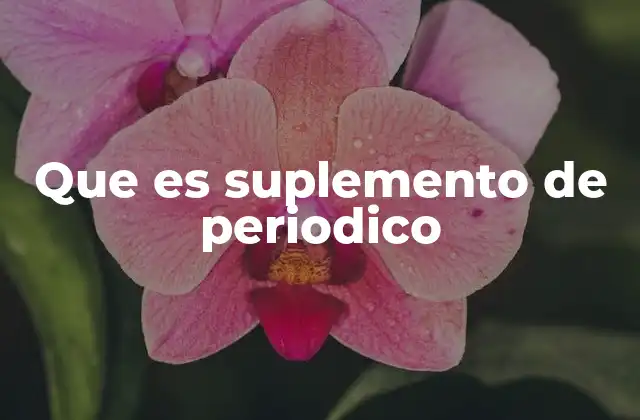 El papel de los suplementos en el contenido informativo