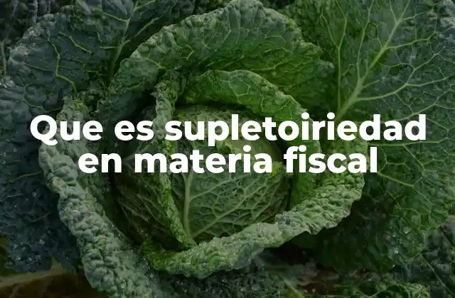 Que es Supletoiriedad en Materia Fiscal