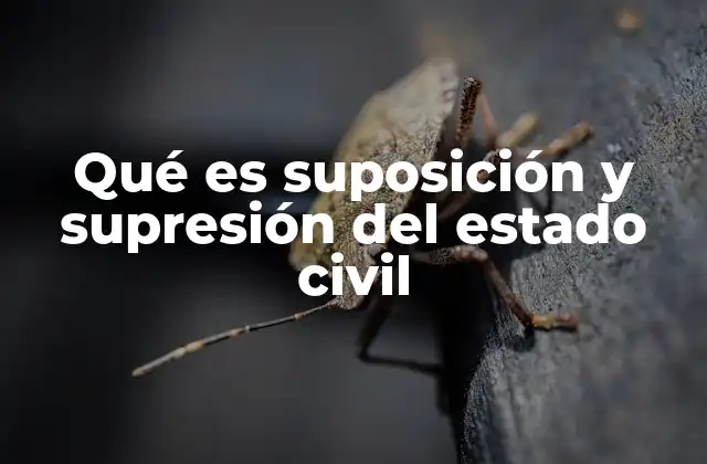 Qué es Suposición y Supresión Del Estado Civil
