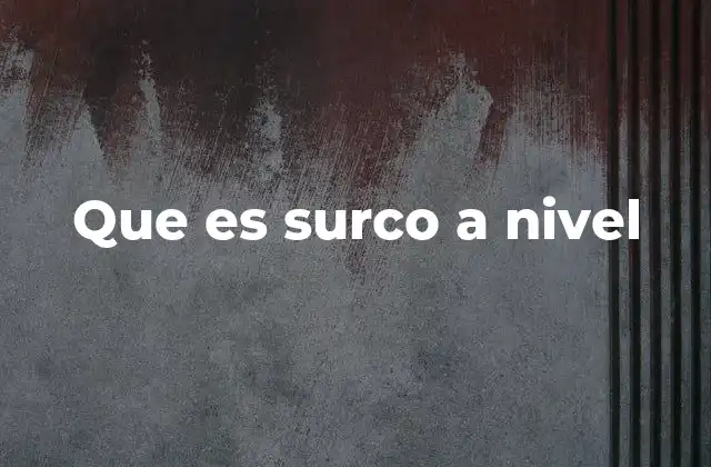 Que es Surco a Nivel