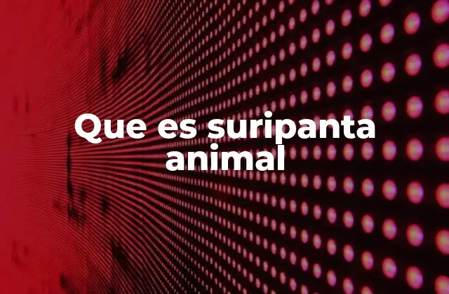 Características físicas del suripanta