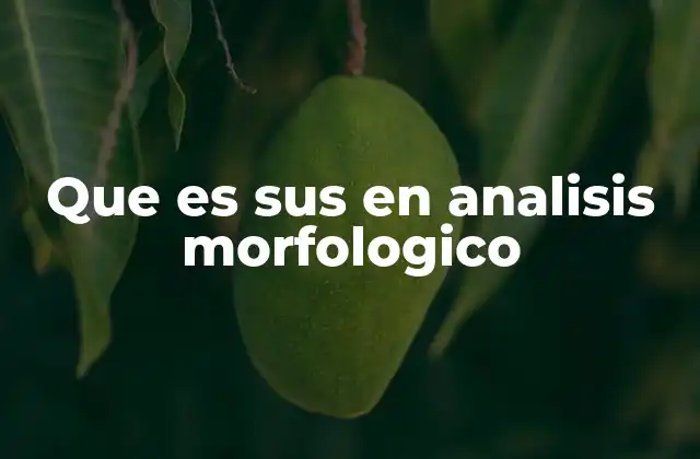 Que es Sus en Analisis Morfologico