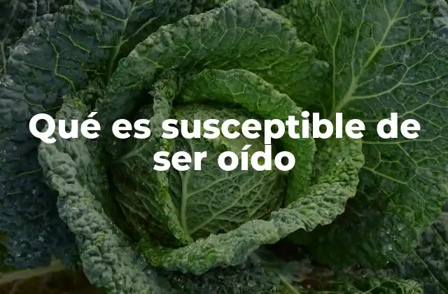 Qué es Susceptible de Ser Oído