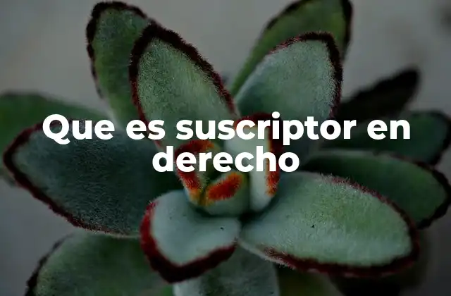 Que es Suscriptor en Derecho
