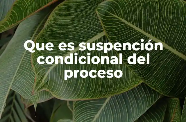 Que es Suspención Condicional Del Proceso