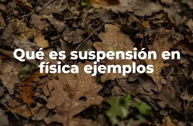 Qué es Suspensión en Física Ejemplos