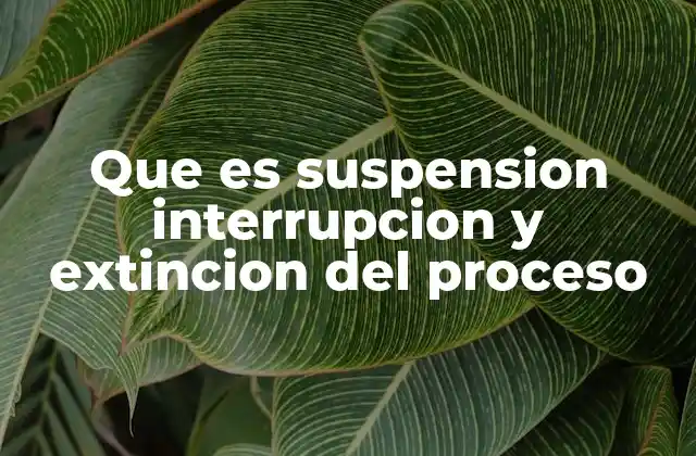 Que es Suspension Interrupcion y Extincion Del Proceso