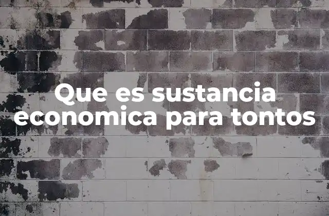 Que es Sustancia Economica para Tontos