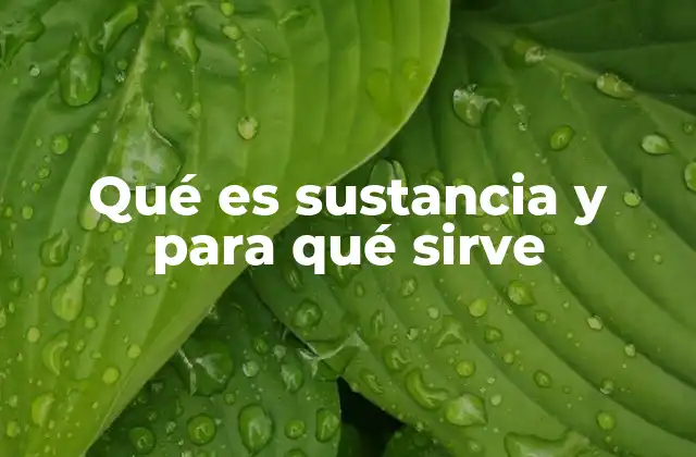 Qué es Sustancia y para Qué Sirve