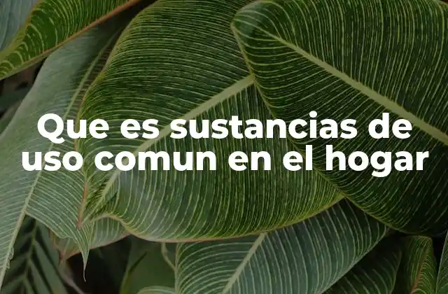 Que es Sustancias de Uso Comun en el Hogar