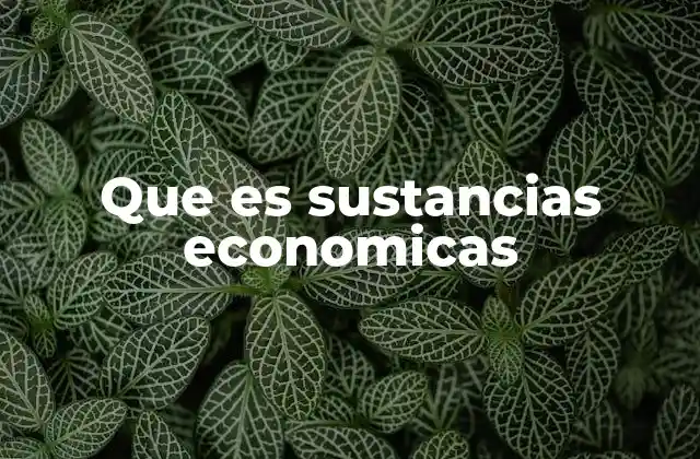 Diferencias entre sustancias económicas y otros elementos patrimoniales