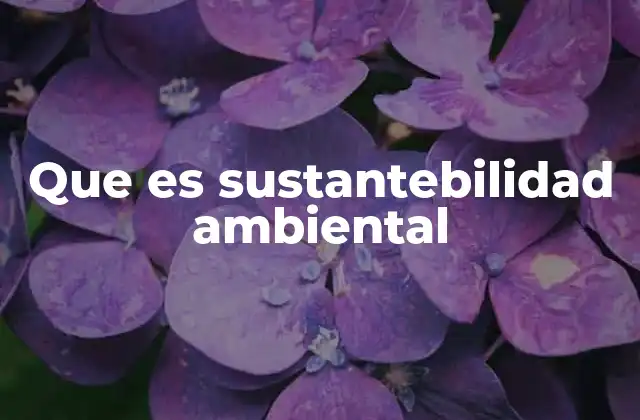 Que es Sustantebilidad Ambiental