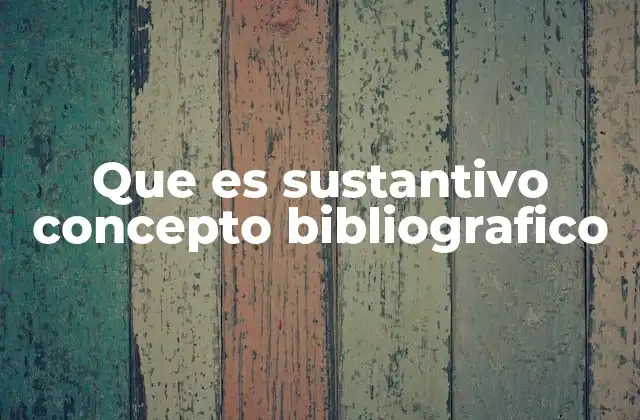 Que es Sustantivo Concepto Bibliografico