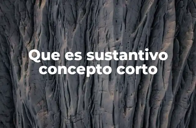 Que es Sustantivo Concepto Corto 2 El rol fundamental de las palabras en la comunicación humana