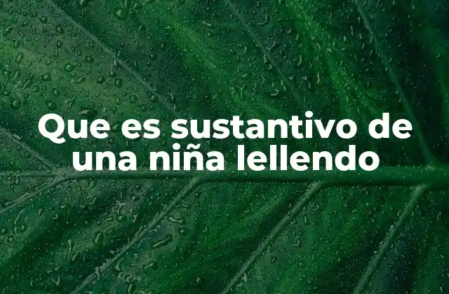Que es Sustantivo de una Niña Lellendo