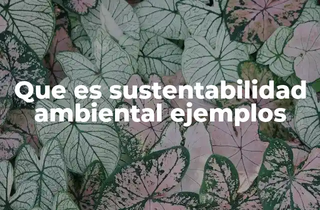 Que es Sustentabilidad Ambiental Ejemplos