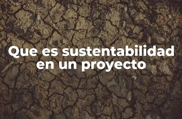 Que es Sustentabilidad en un Proyecto