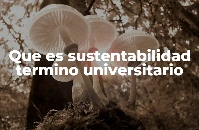 Que es Sustentabilidad Termino Universitario