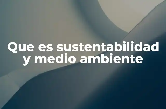 Que es Sustentabilidad y Medio Ambiente 2 La interacción entre el desarrollo y la preservación del entorno