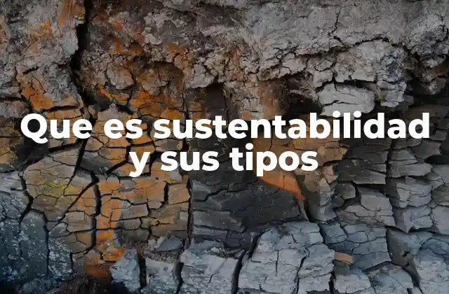 Que es Sustentabilidad y Sus Tipos